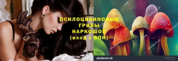 шишки Алексин