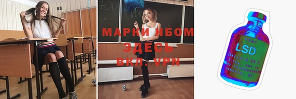 ПСИЛОЦИБИНОВЫЕ ГРИБЫ Алзамай