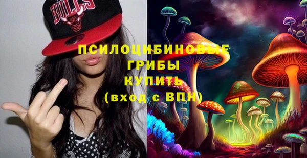 ПСИЛОЦИБИНОВЫЕ ГРИБЫ Алзамай