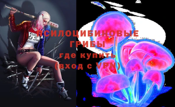 ПСИЛОЦИБИНОВЫЕ ГРИБЫ Алзамай