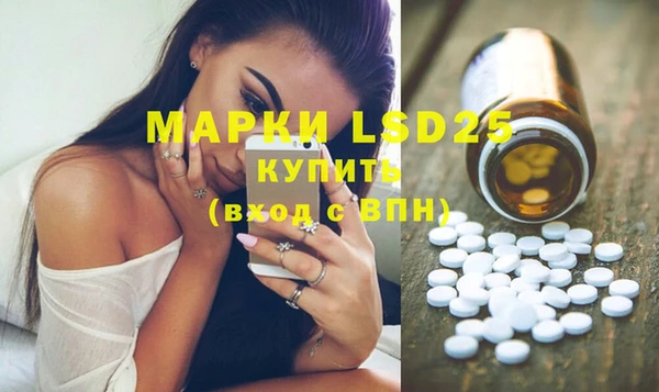 ПСИЛОЦИБИНОВЫЕ ГРИБЫ Алзамай